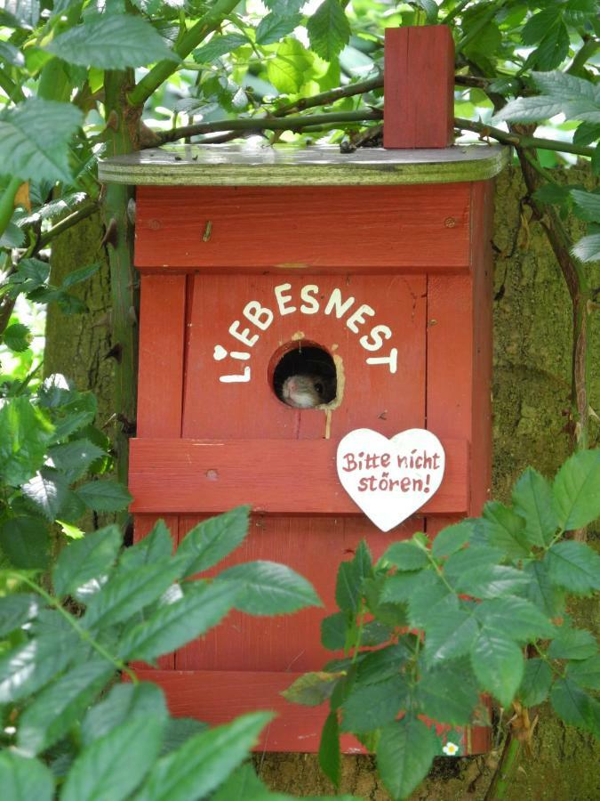 Gaestehof Cafe Im Schafstall บาร์ซิงโฮเซน ภายนอก รูปภาพ